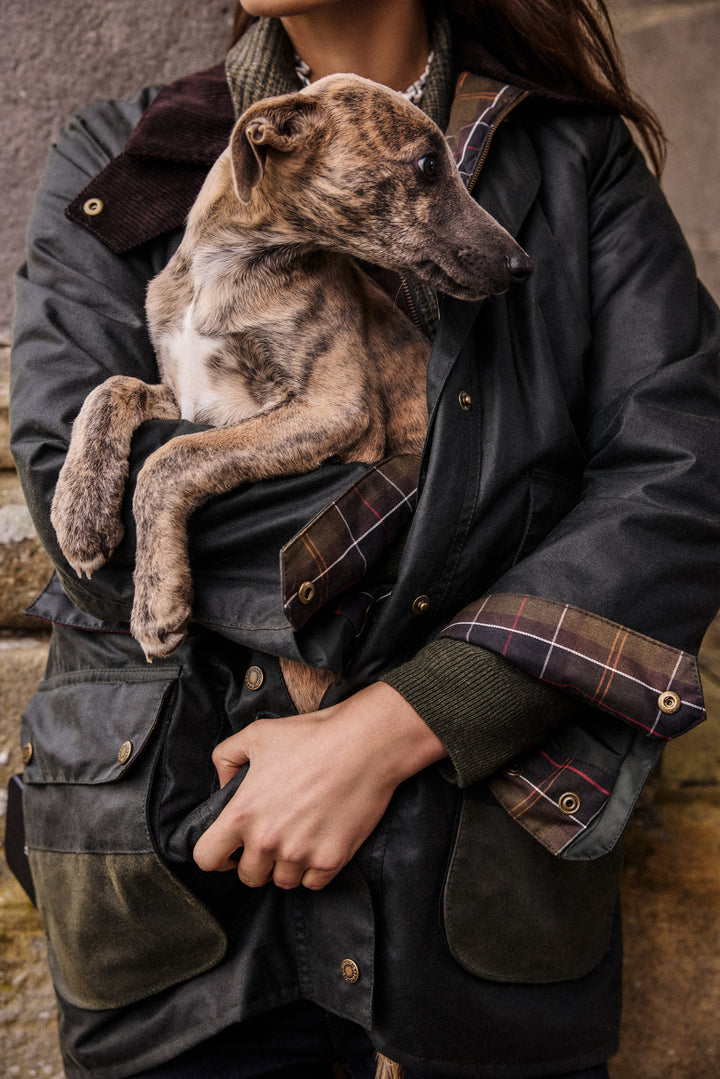 Barbour Modern Border Wax Jacket Sage/Classic
