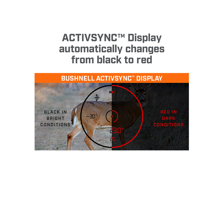 Bushnell Fusion X 10x42 Binoculars