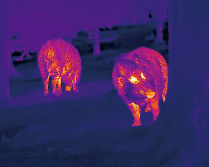 NocPix LUMI L35 Thermal Imaging Monocular