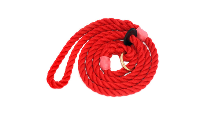 Bisley Elite Slip Lead